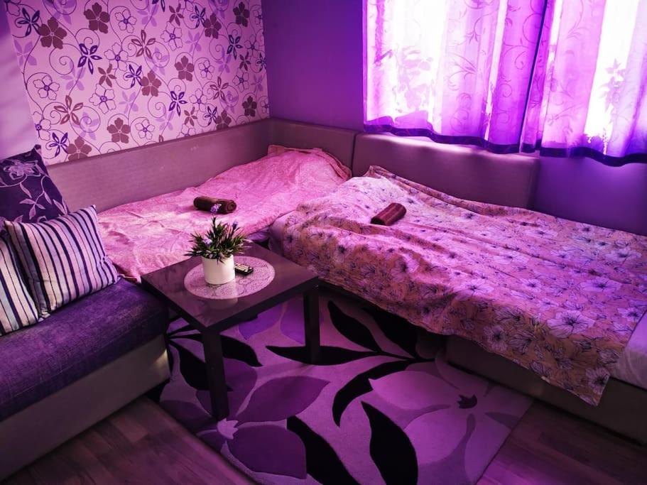 Apartment Lavender, Near To Airport Софія Екстер'єр фото